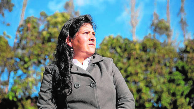  Solicitan que primera dama Lilia Paredes también responda sobre presunto plagio de tesis