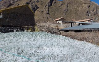 Entre los meses de mayo y setiembre se producen las heladas y el friaje en las zonas altoandinas del Perú.