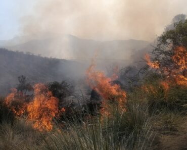  Serfor exhorta a la población a realizar ecoturismo responsable y evitar generar incendios forestales