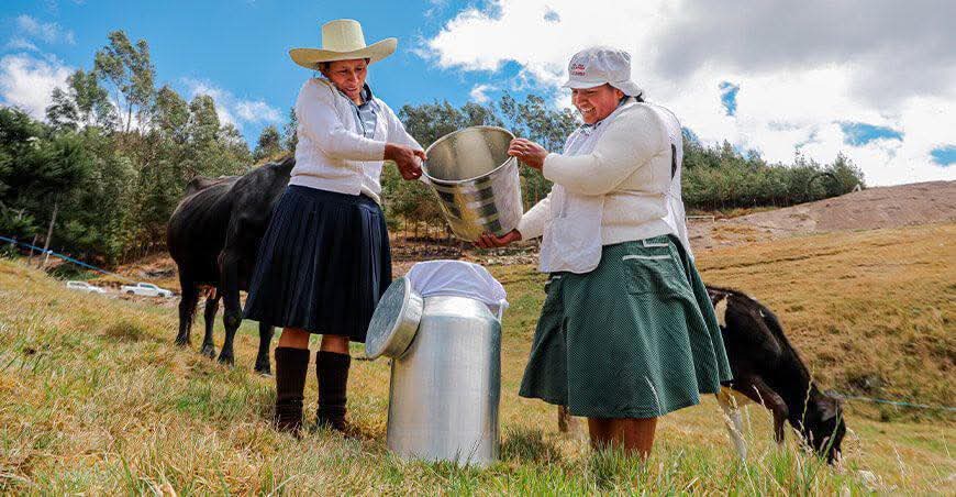 ProLácteos consolidará la capacidad empresarial y asociativa de las organizaciones productoras.