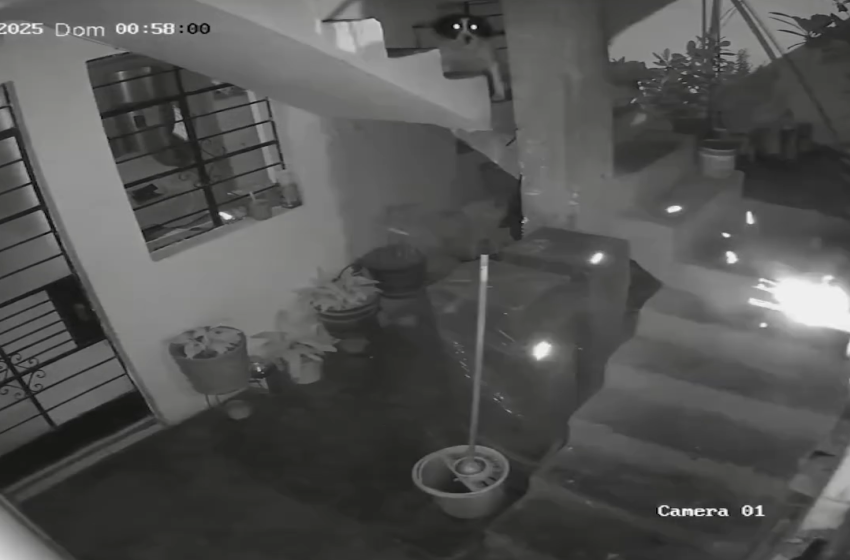  Huaral: Perrita evita atentado con dinamita contra vivienda de periodista