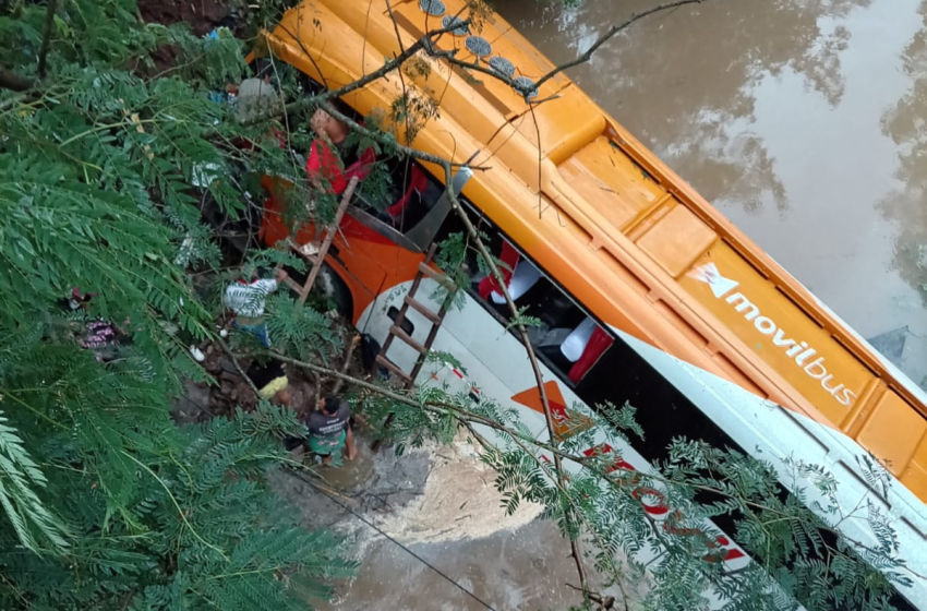  Bus de Movil Bus cae a quebrada durante viaje de Pucallpa a Juanjuí