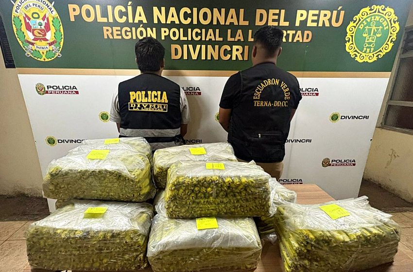  Hallan más de 1,700 cartuchos de dinamita en casa de adulta mayor en Trujillo