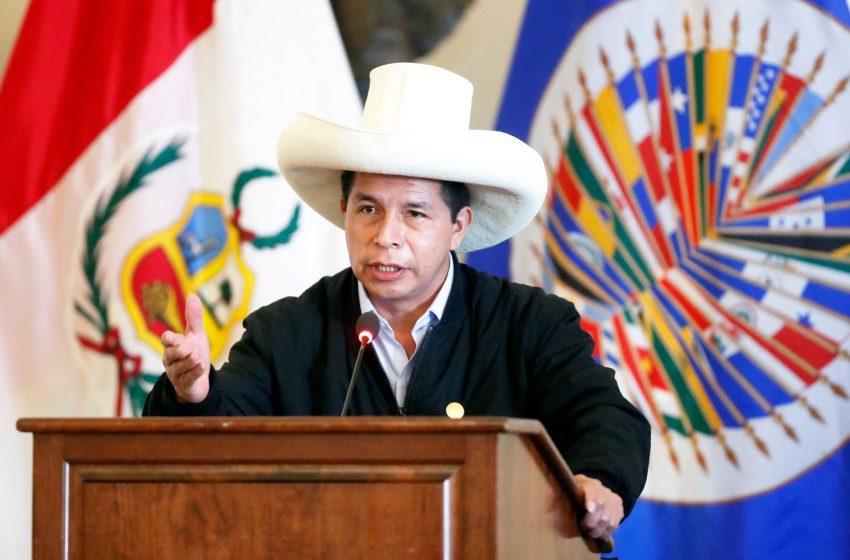  Grupo de Trabajo de la ONU recomienda liberar a Pedro Castillo